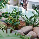 Spring Vulcano Otel 4*