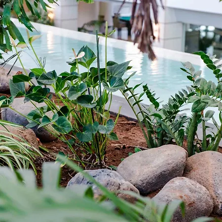 Spring Vulcano Hotell 4*