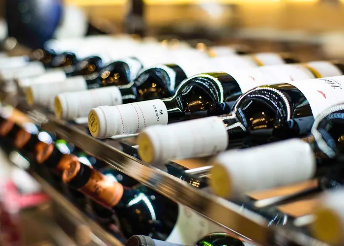 Spring Vulcano מלון פלאייה דה לאס אמריקס