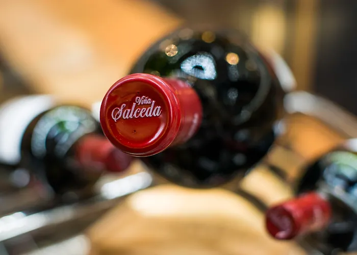 Spring Vulcano מלון