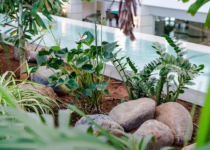 Spring Vulcano מלון 4*