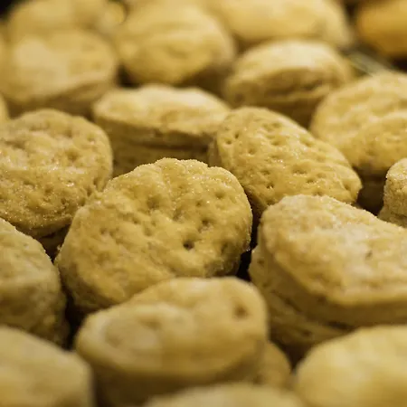 Spring Vulcano Playa de las Américas